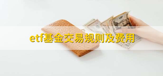增值税法实施条例向社会公开征求意见,有哪些看点?