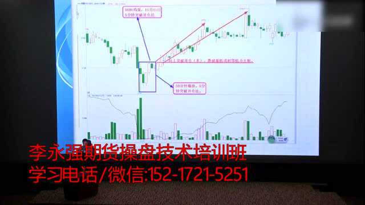 张家口市组织排球项目骨干裁判员参与联赛执裁