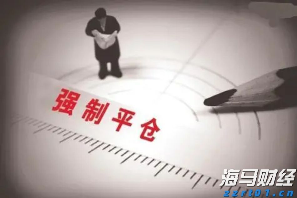 通讯丨花椰菜种子见证中巴农业合作